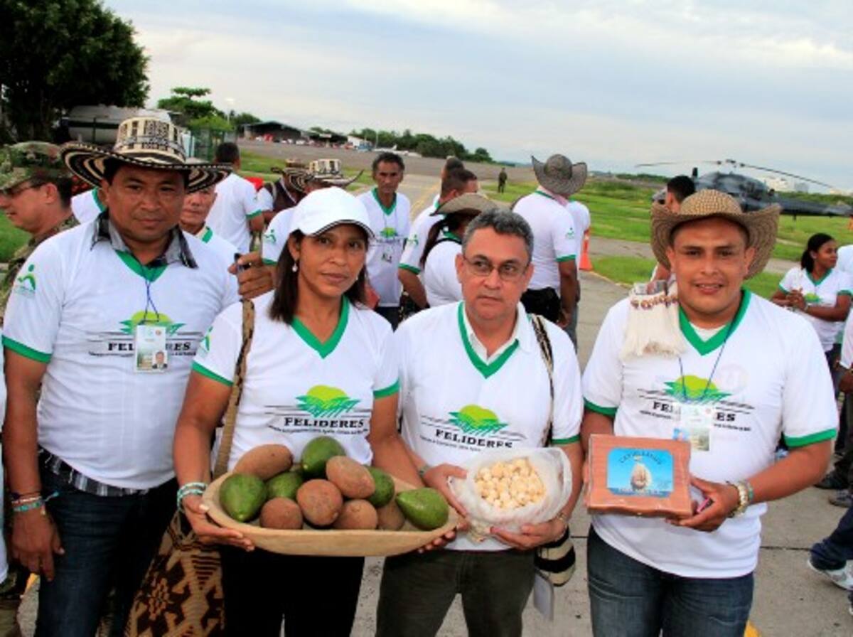 Aguacates de El Carmen de Bolívar incluye la oferta montemariana. LUIS APARICIO - EL UNIVERSAL
