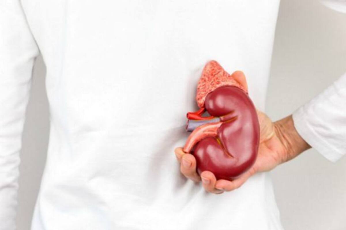 Utilizando una poderosa técnica llamada secuenciación de ARN de células individuales, los investigadores pudieron descubrir la identidad precisa de las células cancerosas. COLPRENSA.