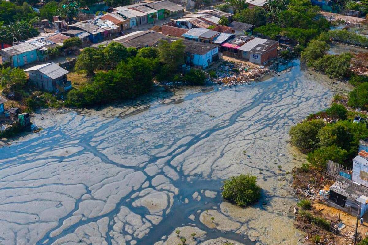 6 grandes parques y 300 mil árboles: propuestas en el Plan de Desarrollo