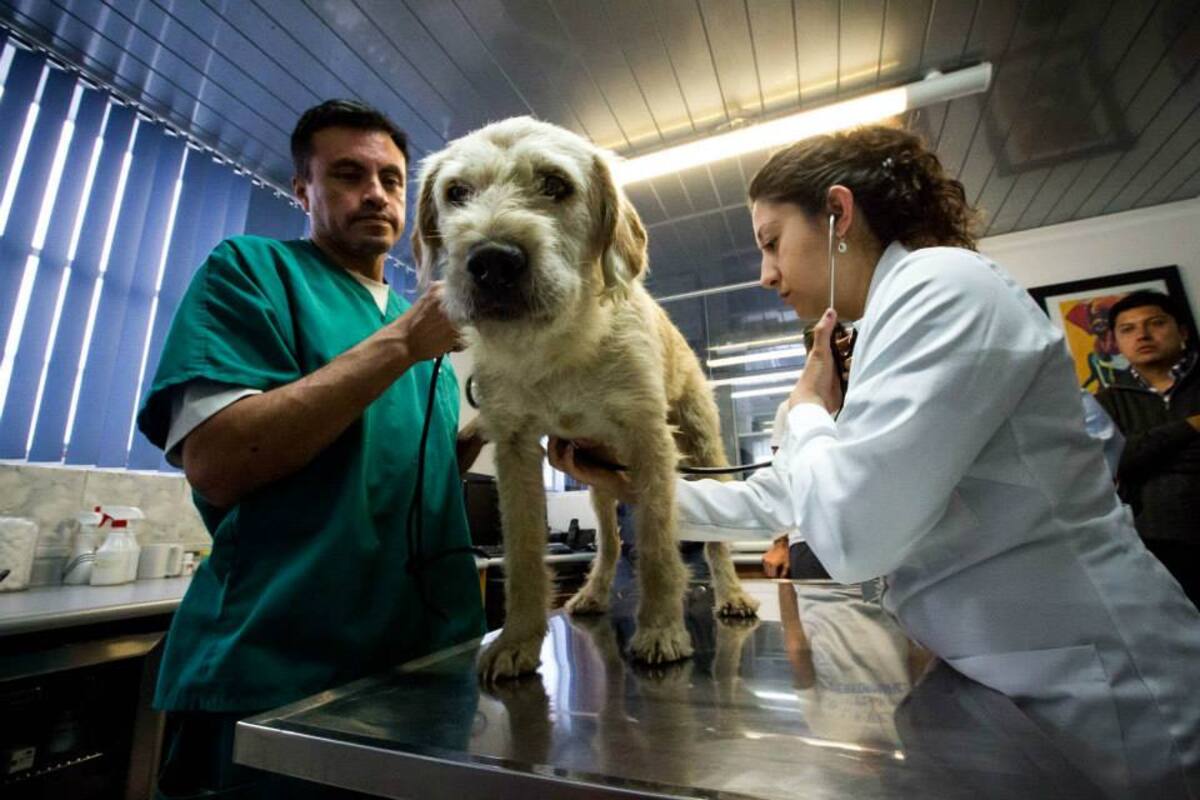 FACEBOOK TEAM PEAK PERFORMANCE