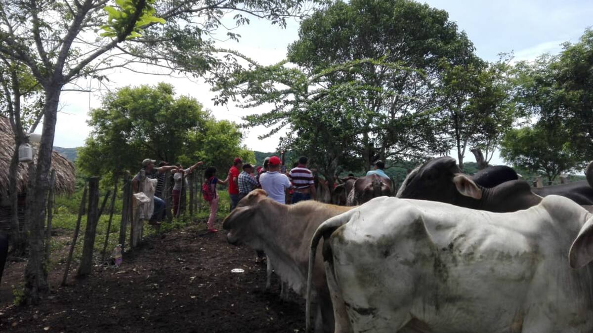 En El Carmen de Bolívar, capacitan a excombatientes, como parte del trabajo de reincorporación y normalización, adelantado por ARN. Cortesía