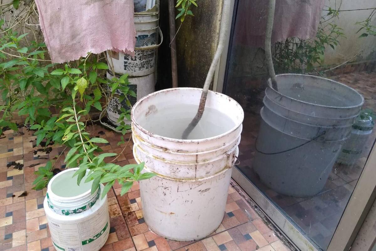 Dengue en Sucre no da tregua: van 3.600 casos este año