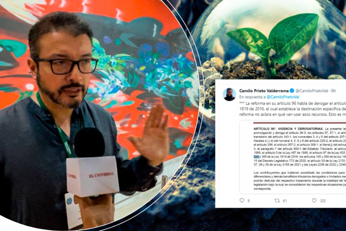 ¿Reforma tributaria afecta al medio ambiente? Ambientalistas preocupados