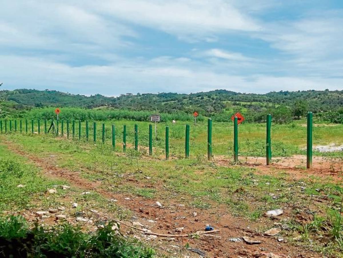 Recuperación del basurero a cielo abierto de San Antero.