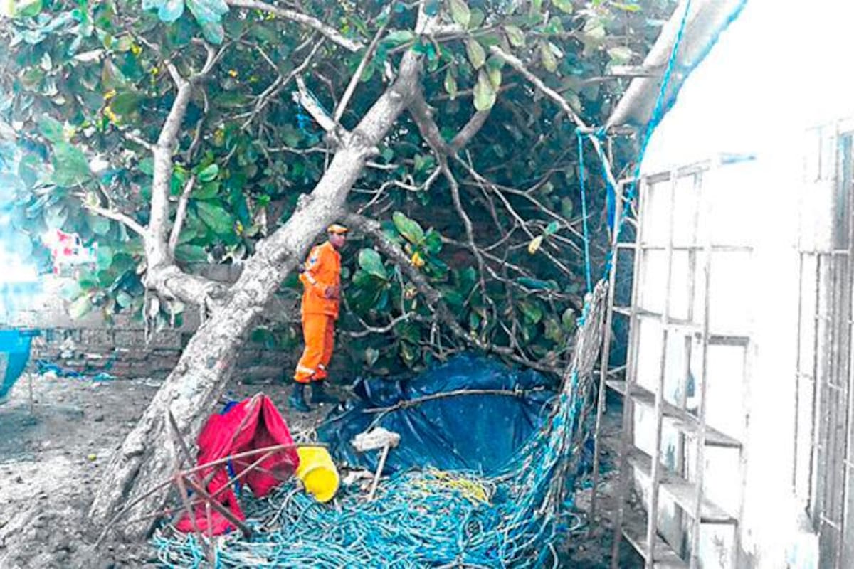 Fuerte vendaval azotó zona rural de Riohacha, La Guajira