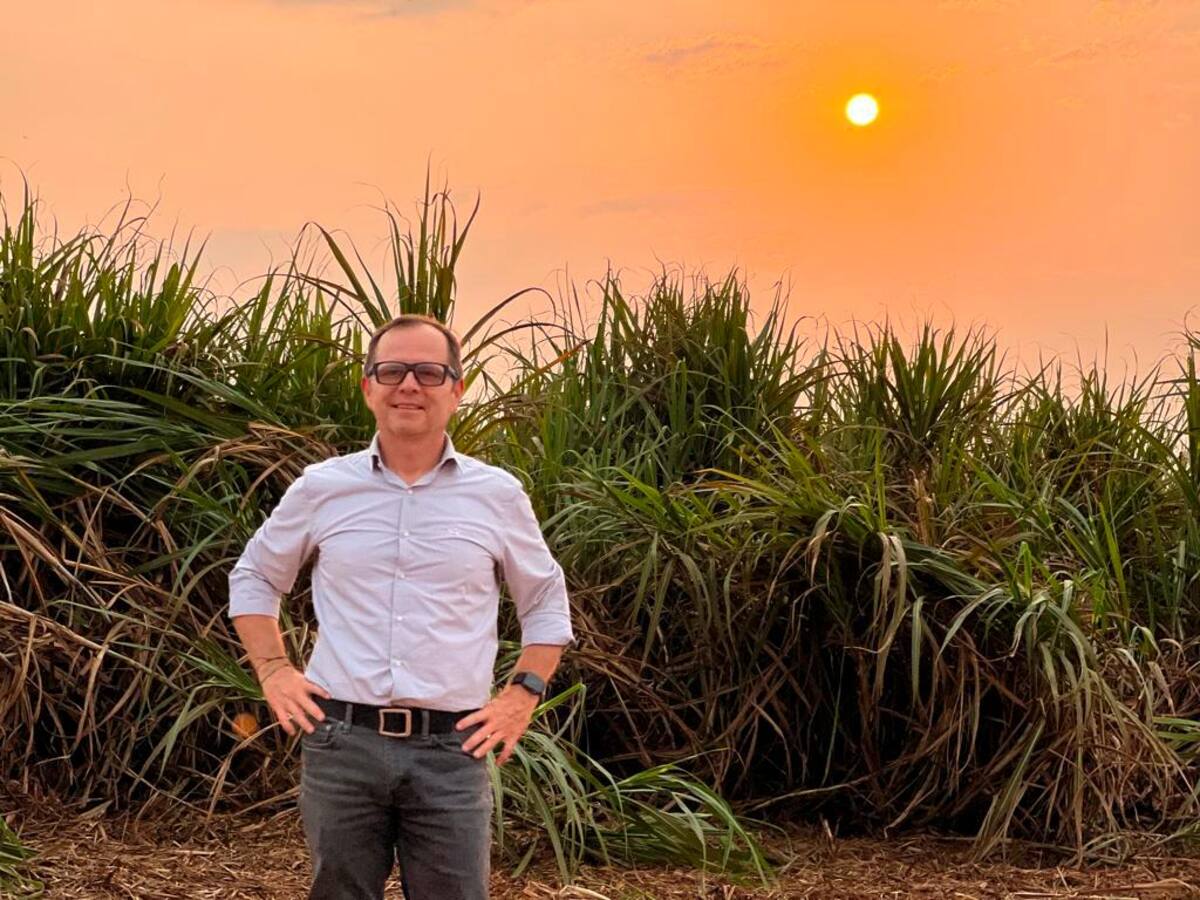 Juan Felipe Bedoya, gerente de Porsche Colombia, en medio de un cultivo de caña de azúcar, base para producir etanol. // CORTESÍA