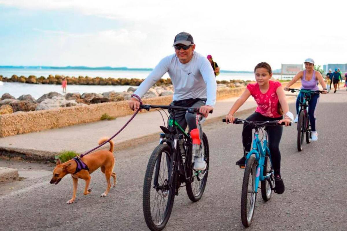 Este domingo habrá ciclovía: Transcaribe activará desvío