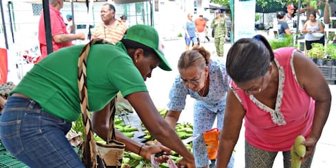 Anuncian 3 mercados campesinos en Cartagena: Fecha, horario y barrios