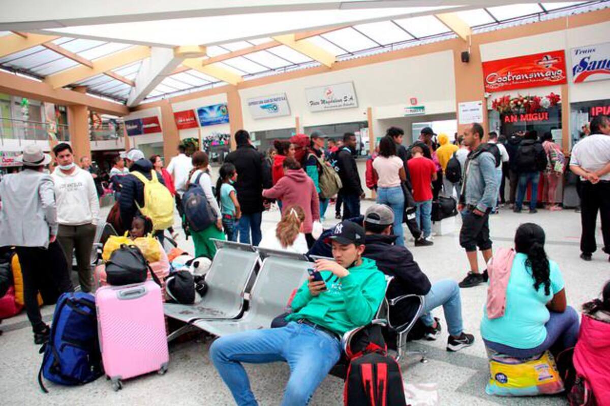 Sector transporte movilizará a 12 millones de personas en diciembre en el país