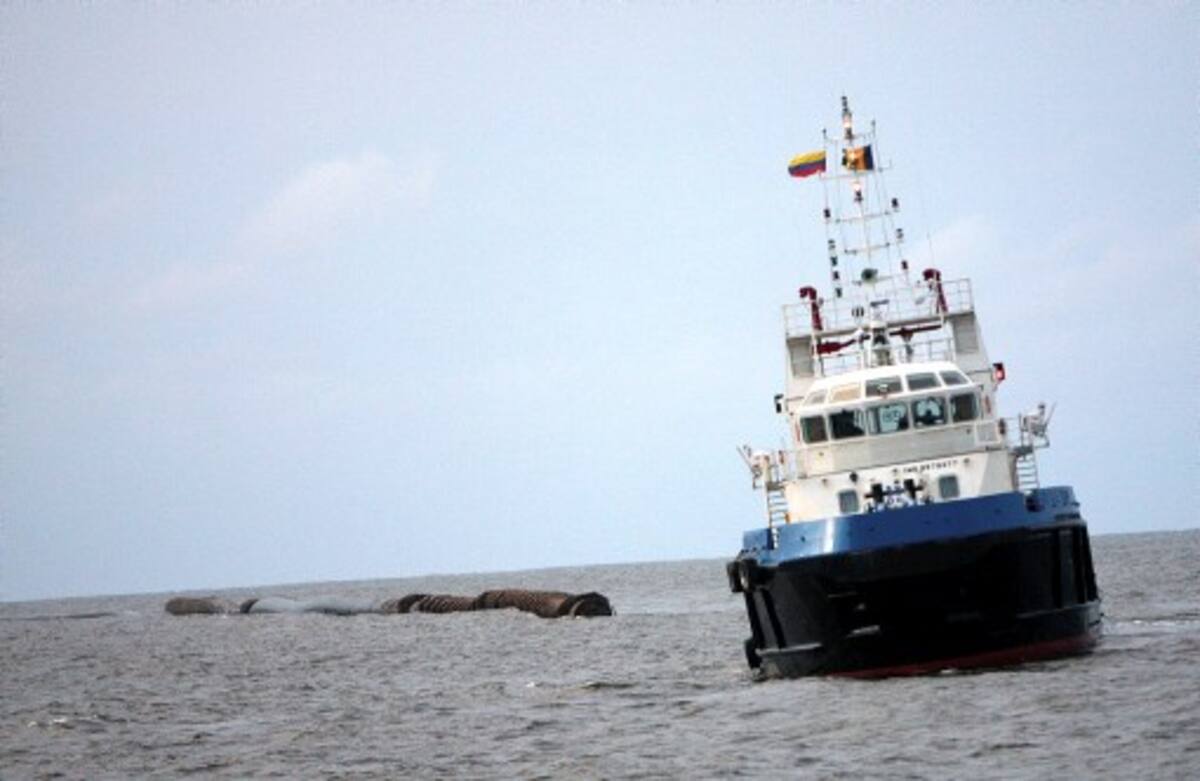 Al anochecer de ayer un remolcador transportaba un tramo del Emisario Submarino por el bajo Nokomis, a 9 millas de Cartagena, y se prevía que a medianoche llegaría al bajo de Salmedina, donde lo prepararían para reemprender la marcha hacia la Bahía de Cartagena.