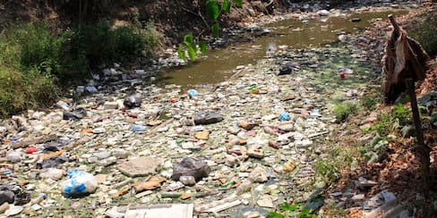 Estos son los canales de Cartagena en los que urge una limpieza