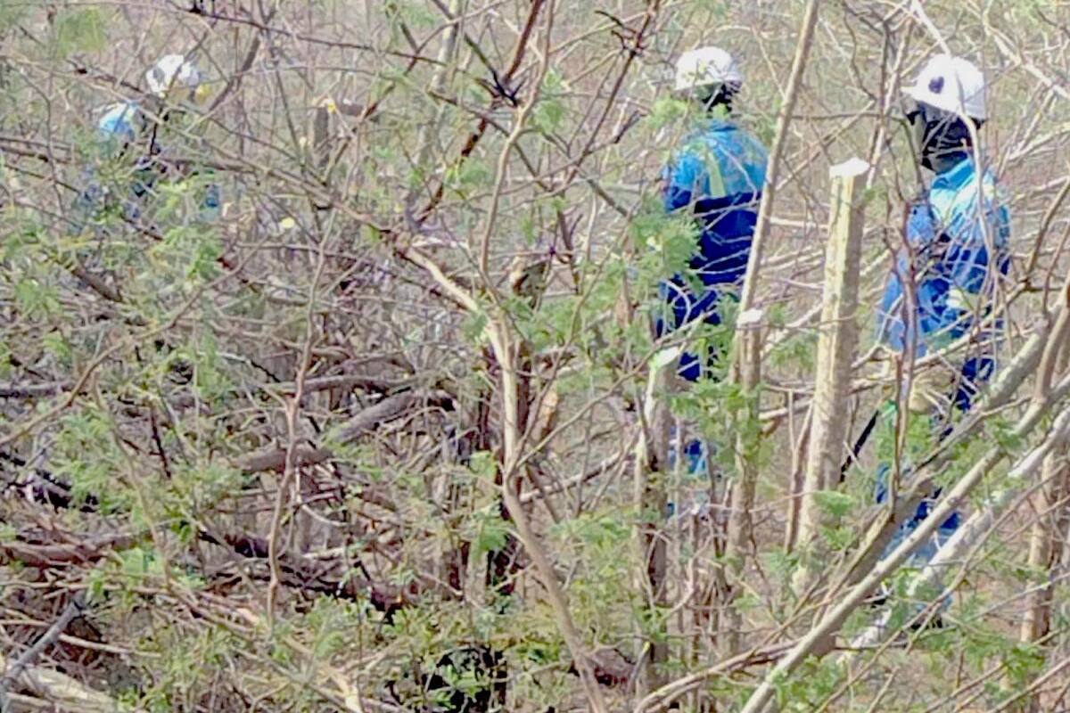 Roban 500 metros de cables de energía en zona rural de Piojó