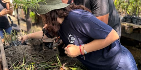 Limpieza y rescate de mangles: la doble jornada de Global Shapers en La Boquilla