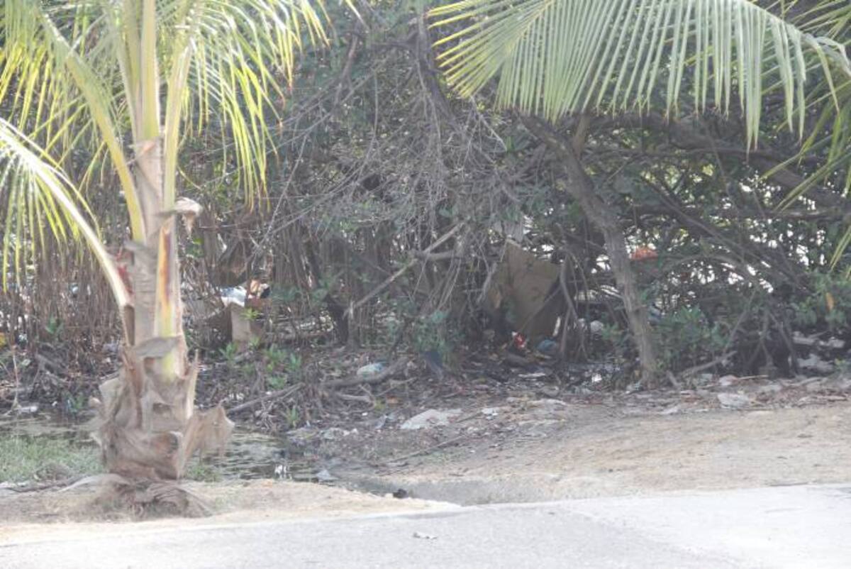 Cambuches ÁLVARO CÁRCAMO OYAGA.