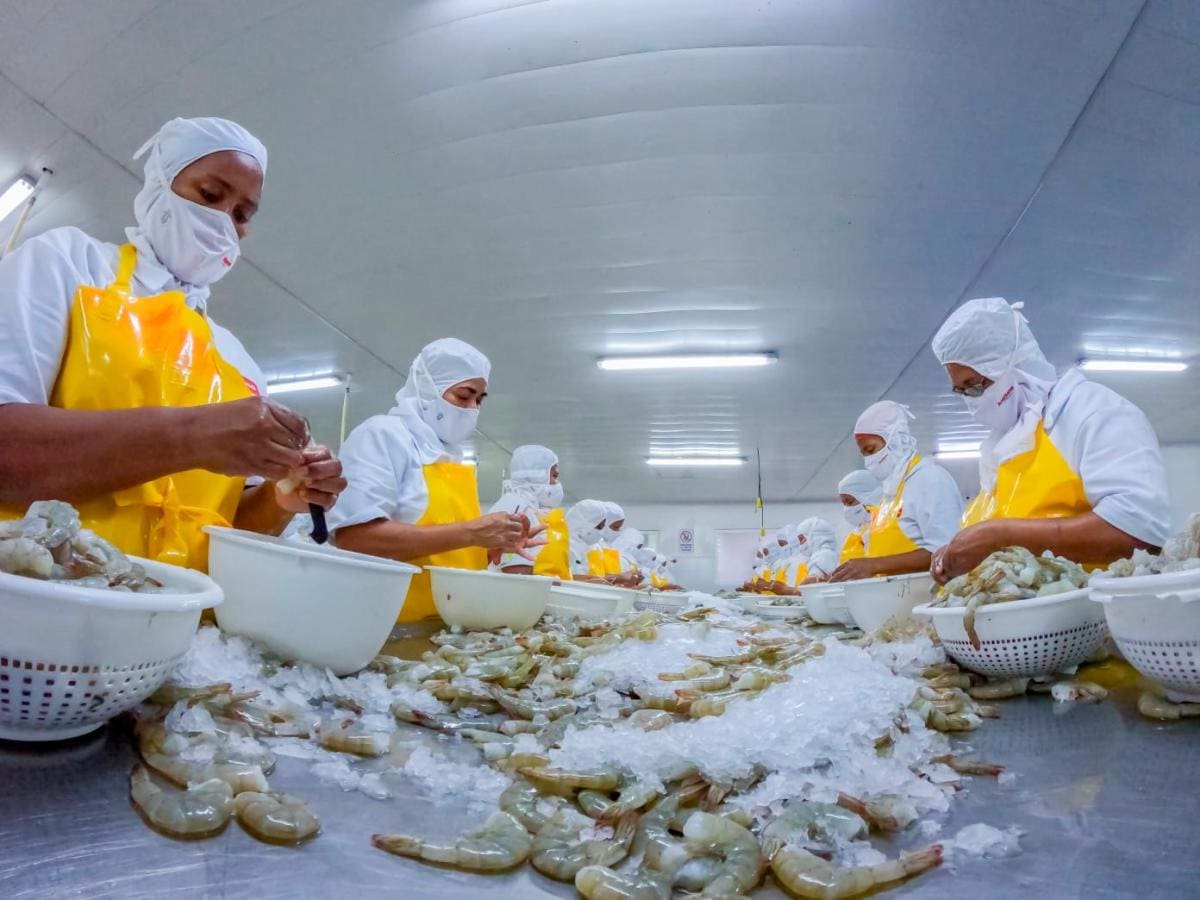 Antillana, en la planta de Cartagena, genera 280 empleos. // CORTESÍA