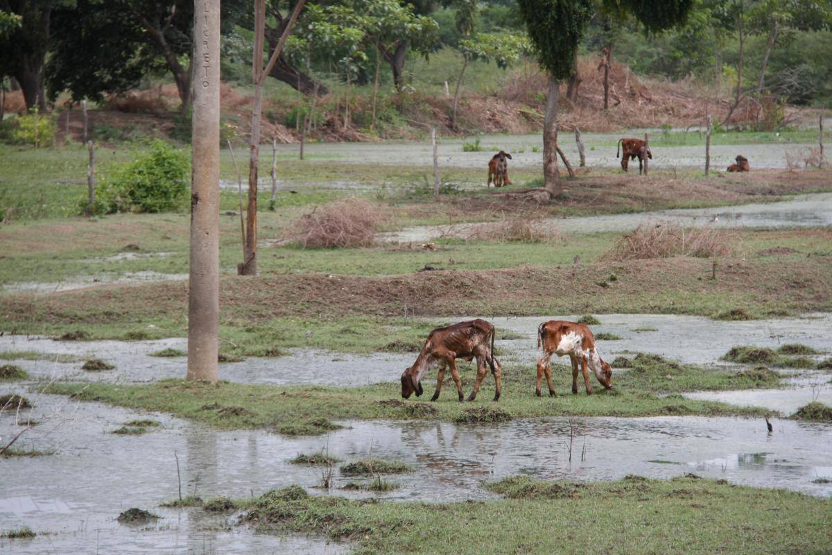 ¿Cómo avanza Bolívar en su plan para afrontar el cambio climático?