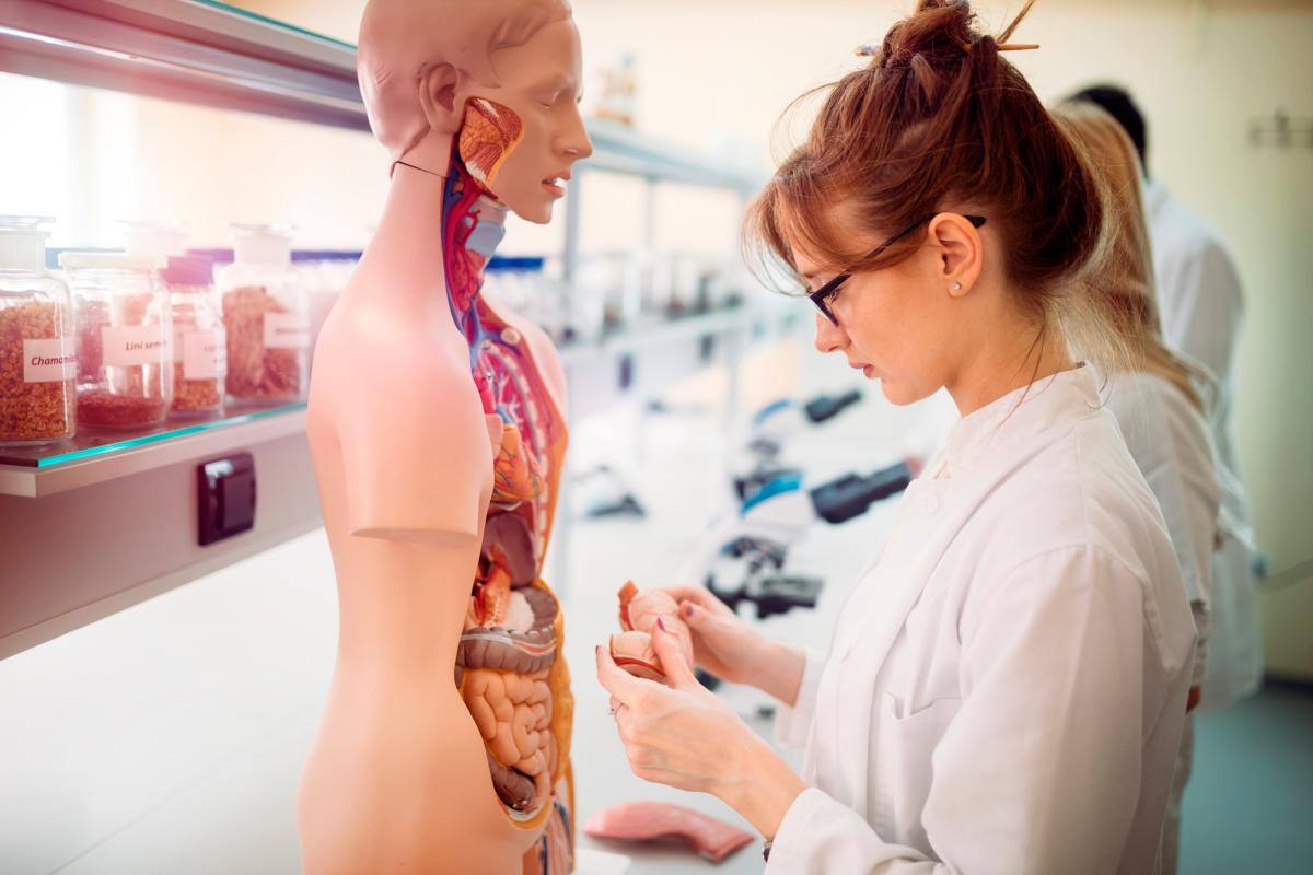 Las especialidades médicas son los estudios de posgrado más populares. // 123RF