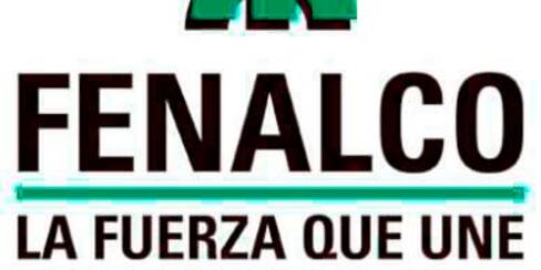 Consejo de Estado se pronuncia sobre competencia de Colombia compra eficiente