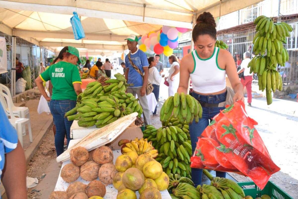 Mercado campesino del PES: más de 17 mil personas se beneficiaron este cuatrienio