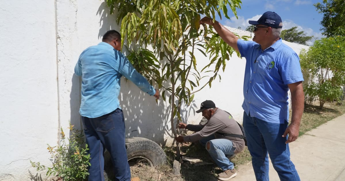 Más de 650 árboles nuevos: así luce hoy Bayunca tras la apuesta ambiental de Cardique