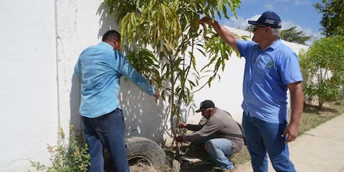 Más de 650 árboles nuevos: así luce hoy Bayunca tras la apuesta ambiental de Cardique