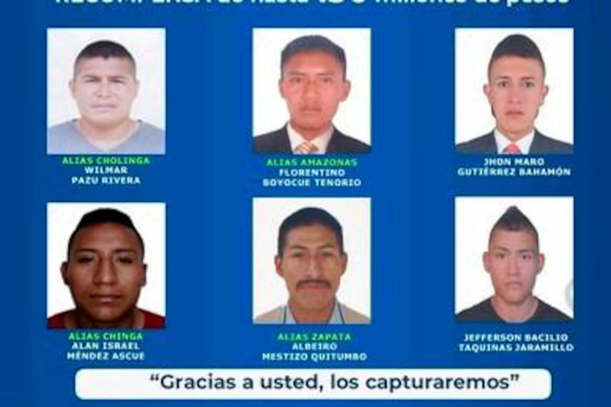 Ofrecen recompensa por responsables de ataques en el Cauca