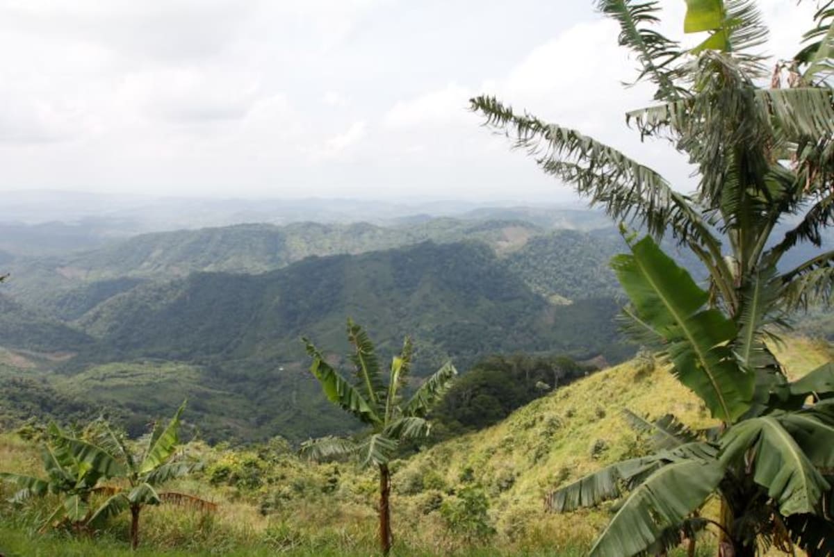 Vista desde el Cerro de Maco. JULIO CASTAÑO-EL UNIVERSAL