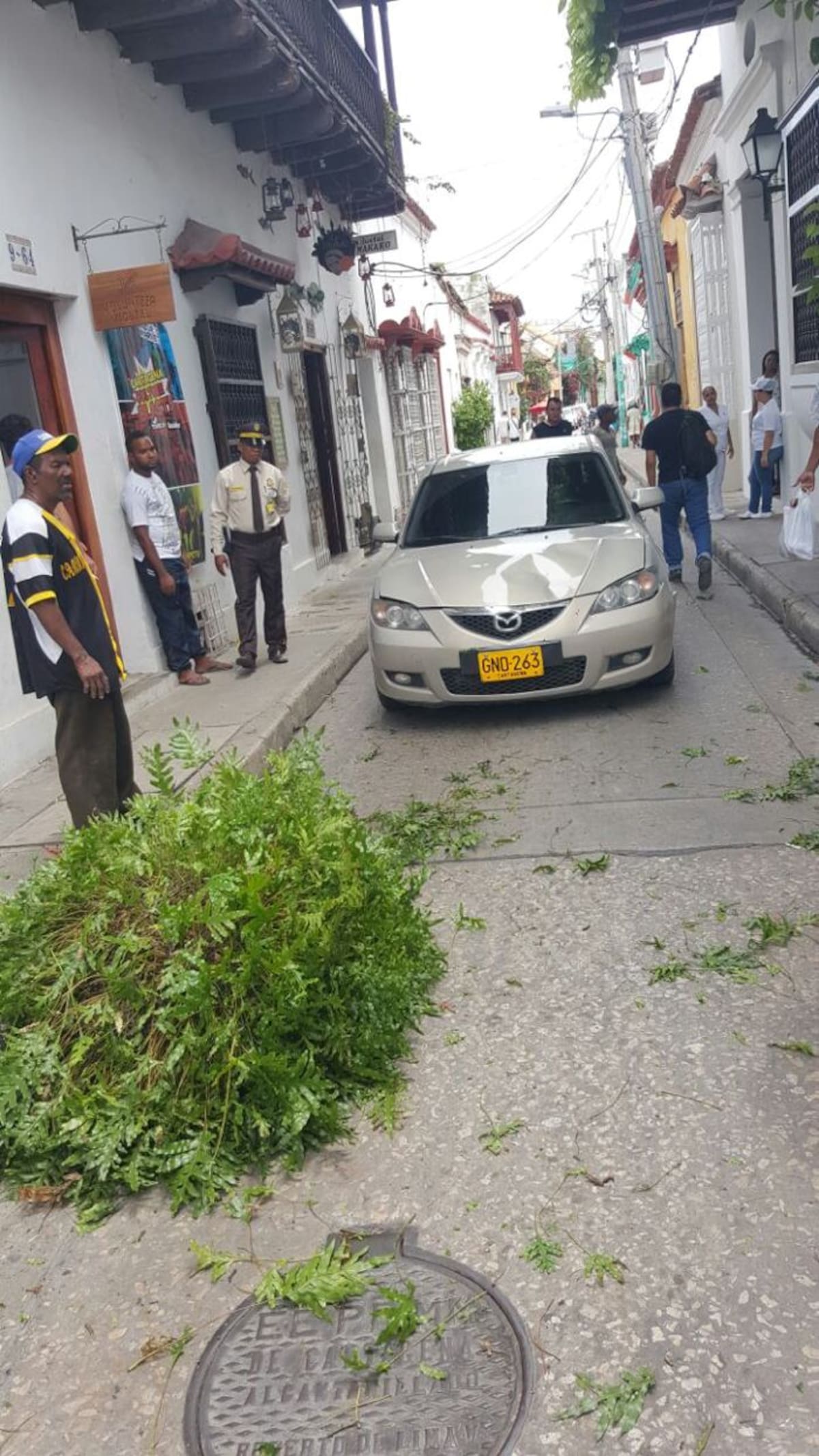 Foto: Cortesía