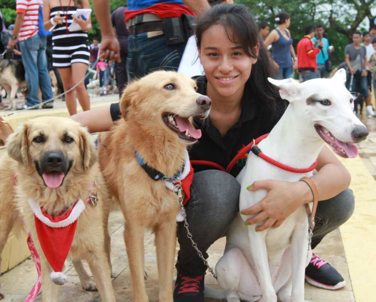 Angie Pérez con Nata, Princesa y Harry.
