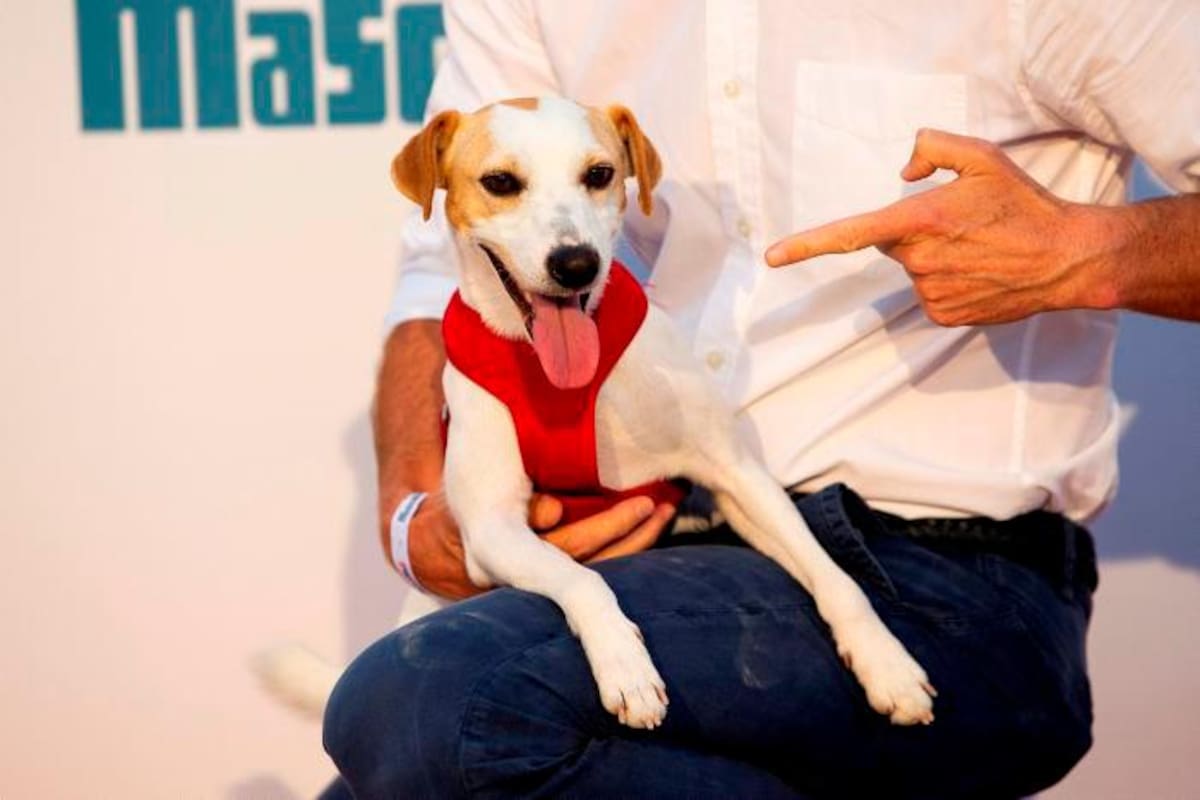 OMS declara a México primer país libre de rabia humana contagiada por perro