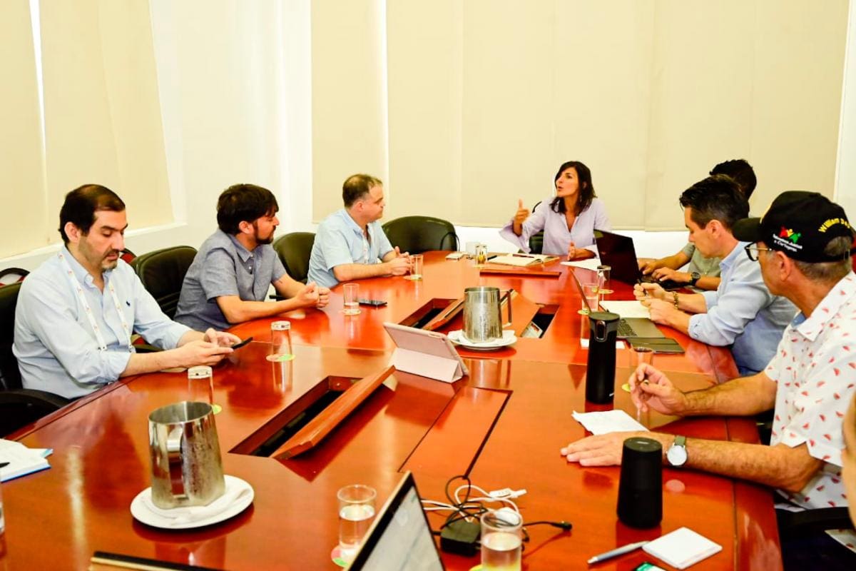 Tarifas de energía: Alcaldes se reunieron con Minminas, ¿qué acordaron?