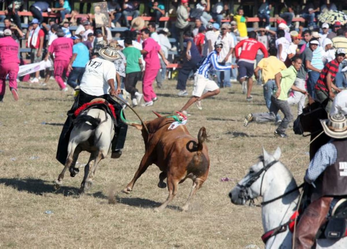 El Alcalde del municipio de Buenavista, Quintiliano Tapia Rodríguez, demando a quien presuntamente mato a descuartizo a un caballo vivo en las pasadas corralejas. ARCHIVO/