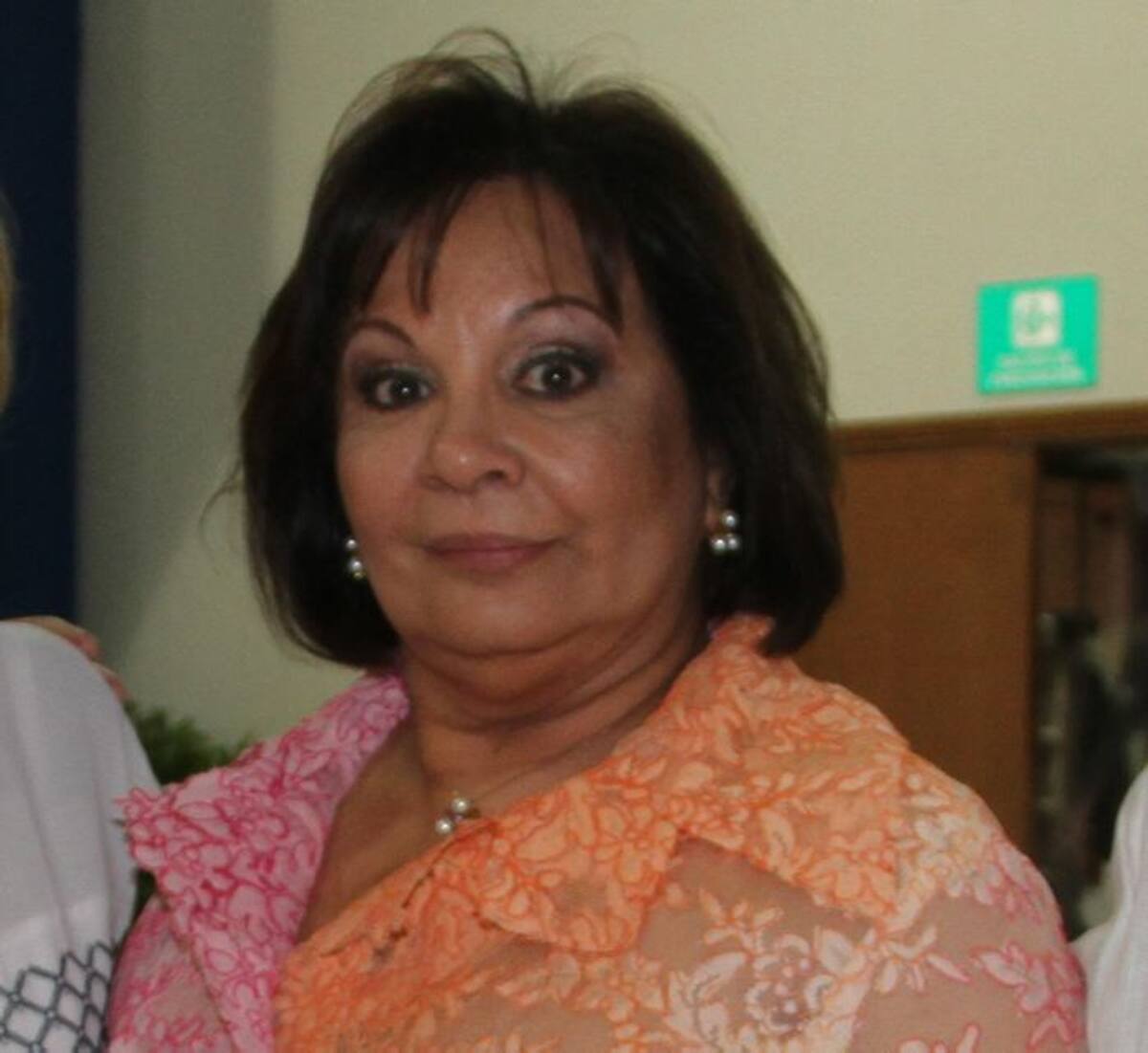 Beatriz Bechara, directora del Observatorio del Caribe Colombiano. ARCHIVO
