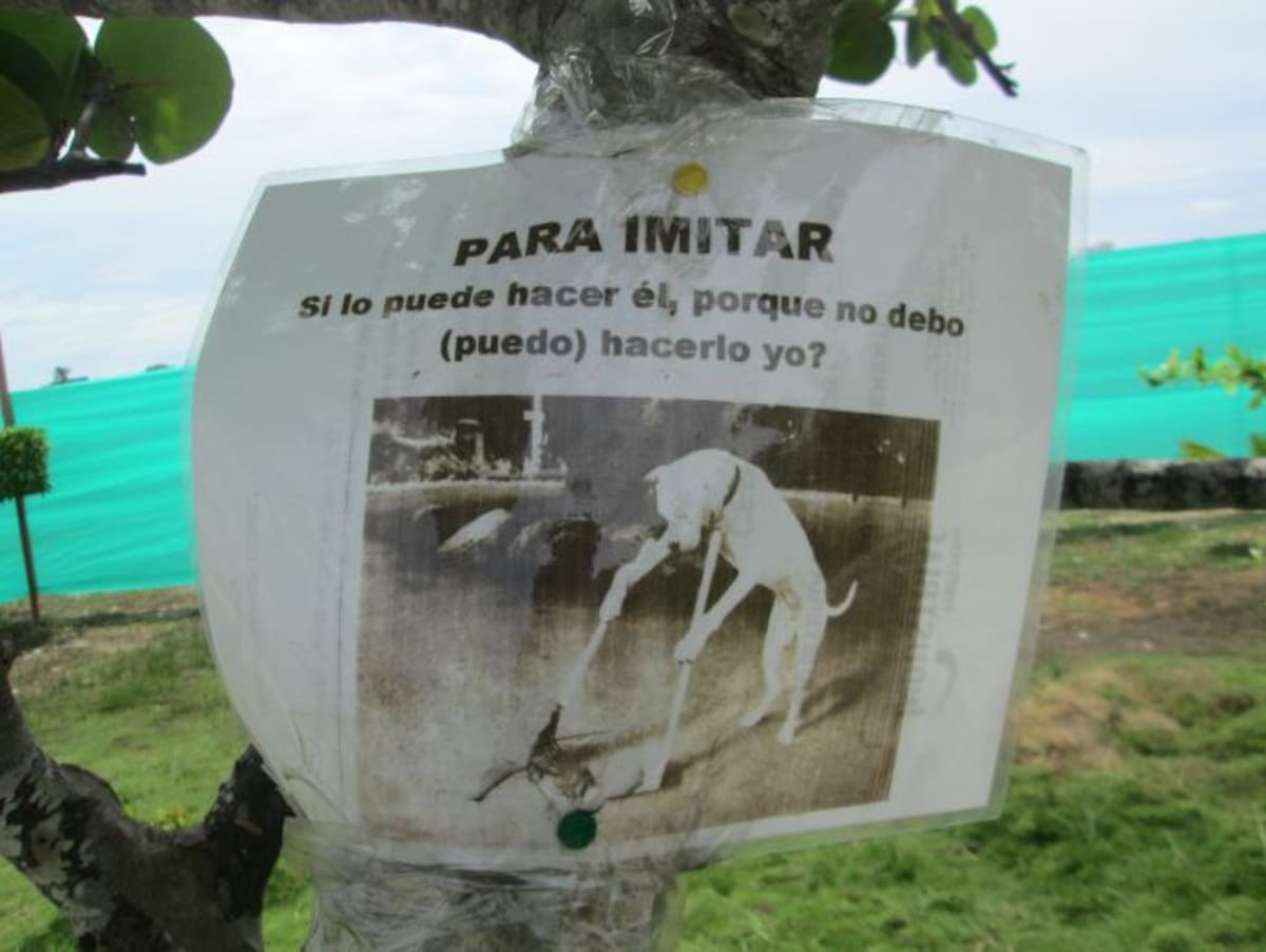 PEDRO TORRES, GENTE BAHÍA - EL UNIVERSAL