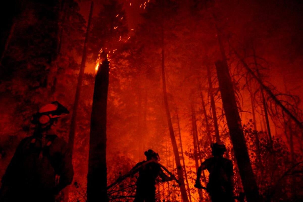Canadá: bosques se han convertido en un “infierno” por cambios climáticos