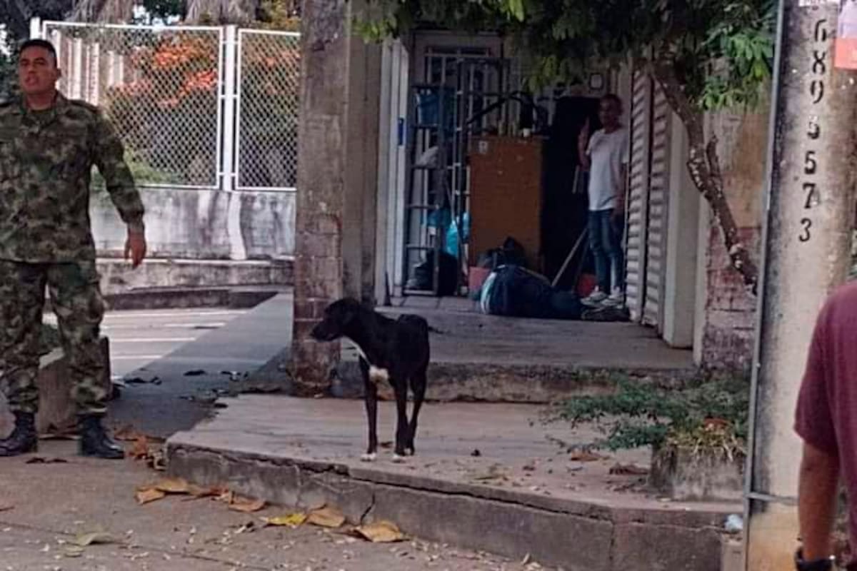 Identifican a policía asesinado en San Pablo, sur de Bolívar