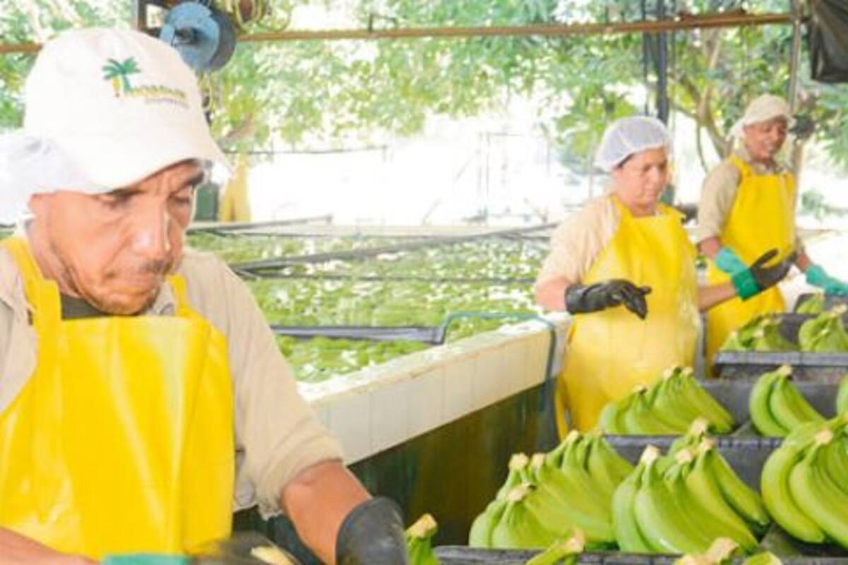 Empresarios elevaron su propuesta de aumento del salario mínimo de 4% a 4,5%