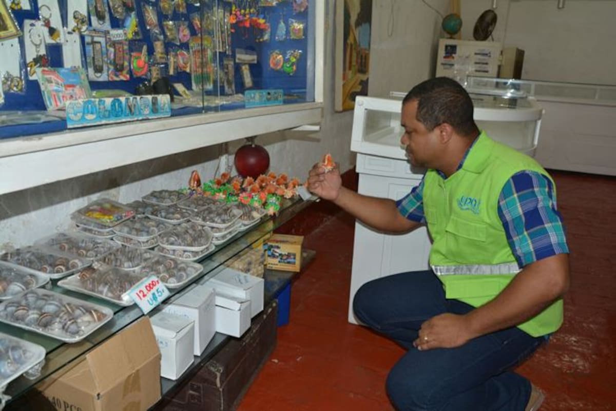 En el 2015, fueron incautados 536 artículos de artesanías elaboradas a partir de los escudos del caparazón de la Tortuga Carey, cuyo valor en el mercado ascendía a 5 millones 938 mil pesos. //Cortesía EPA