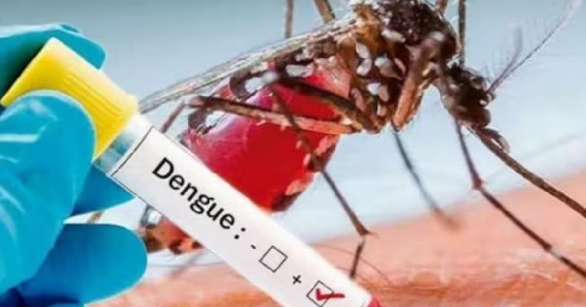 46.146 casos de dengue en Colombia: expertos explican cómo identificar los síntomas y evitar complicaciones graves