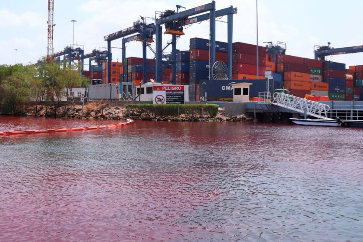 El martes se conocerían los resultados sobre la contaminación en la bahía