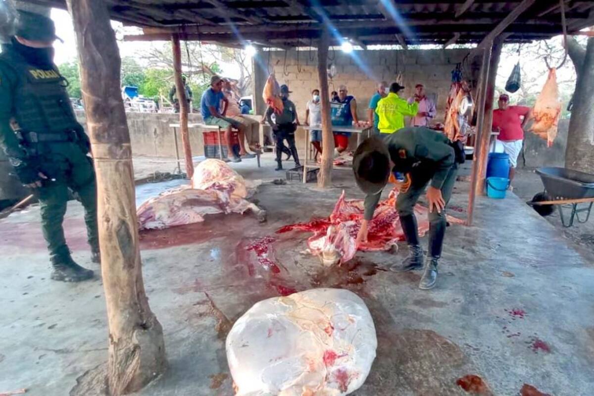 Policía interviene matadero clandestino e incauta 200 kilos de carne