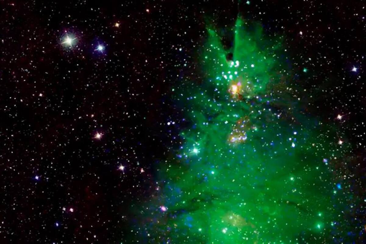 La NASA celebra la Navidad compartiendo la imagen de un árbol cósmico
