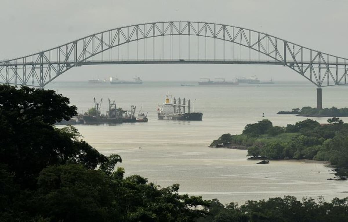 El compuesto activo contra la Leishmania donovani fue descubierto en Panamá. AFP