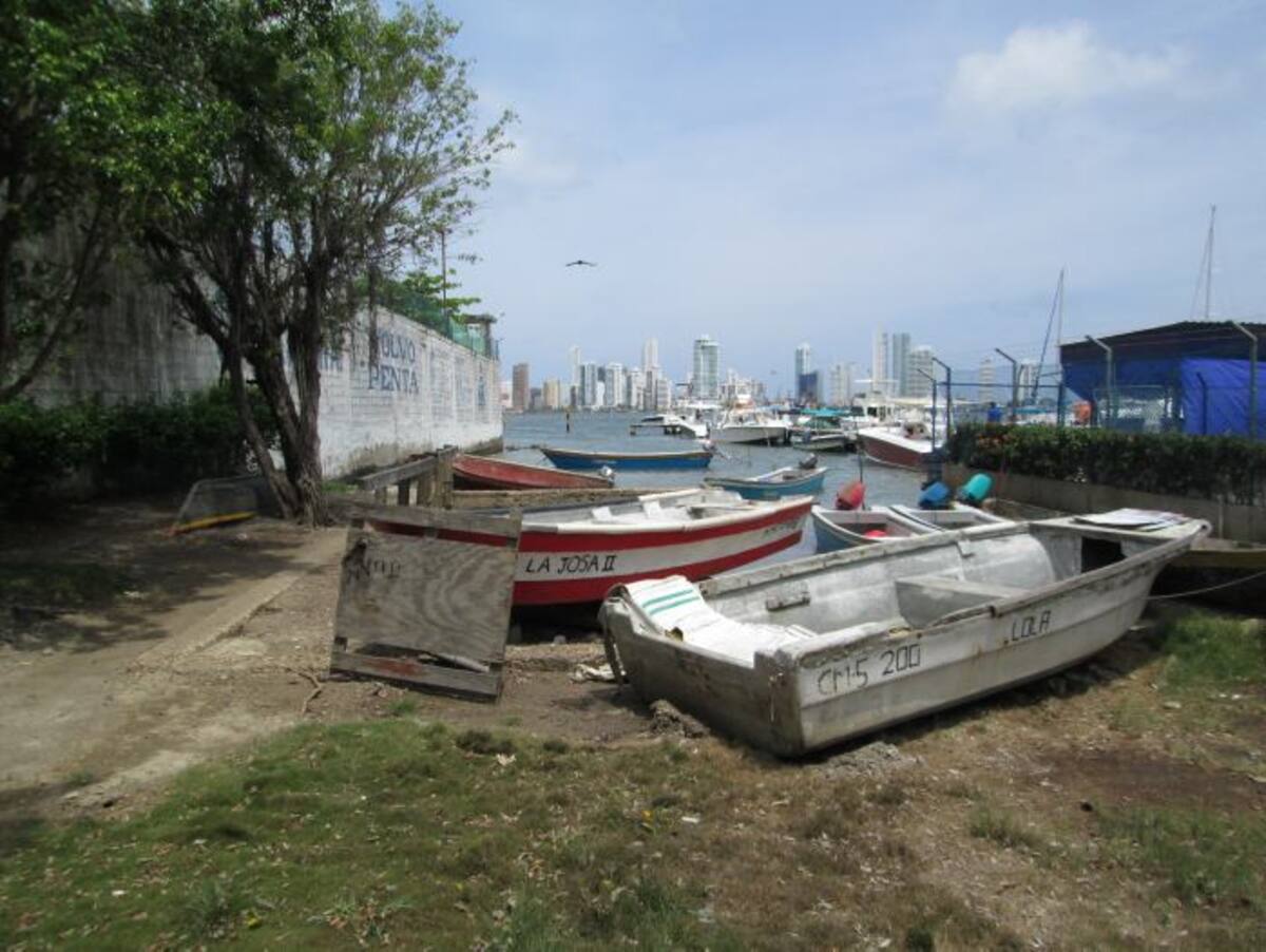 PEDRO TORRES, GENTE BAHÍA – EL UNIVERSAL