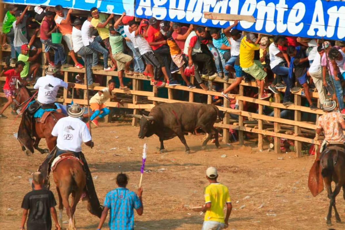 Duras críticas por realización de fiestas de corralejas en Bayunca