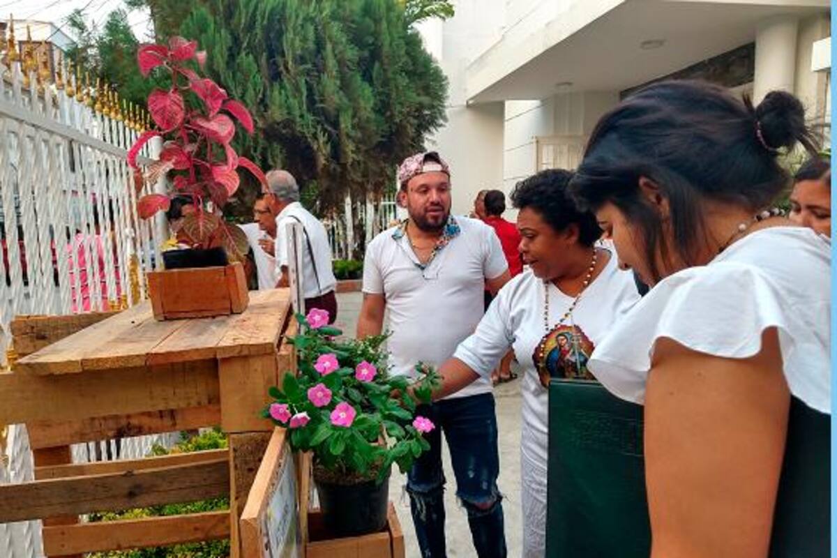 La iglesia cartagenera que cambió el “Domingo de Ramos” por “Domingo de Plantas”