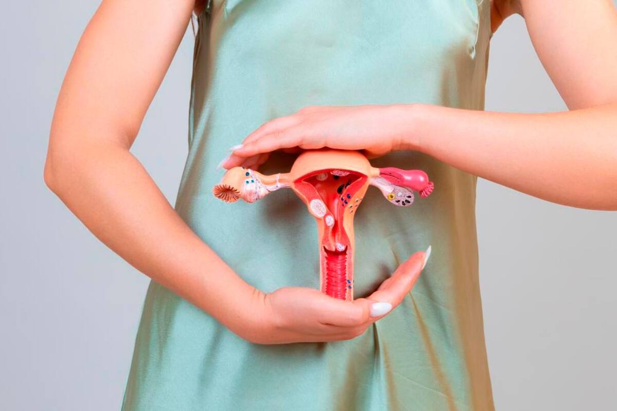 Asocian contaminantes ambientales con mayor riesgo de cáncer de endometrio