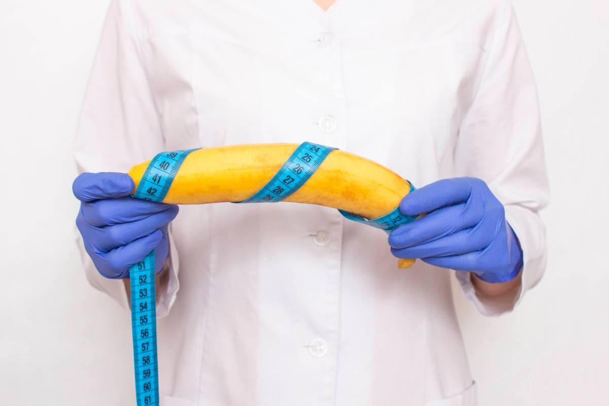 ¿El tamaño del pene importa? Estudio revela la “medida ideal” para ellas