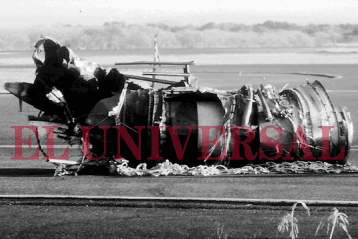 Las imágenes del accidente aéreo en el que solo sobrevivió Erika Delgado