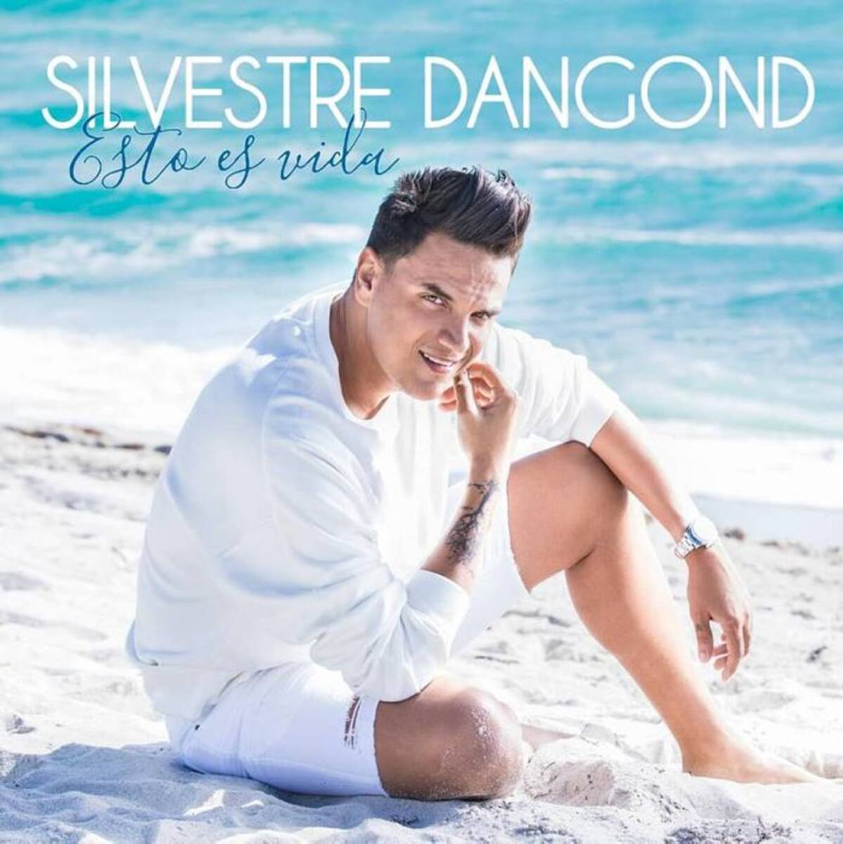 Silvestre tiene 12 producciones publicadas. La más reciente se titula ‘Esto es vida’./ CORTESÍA